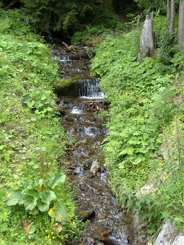 Foto de Mürren, Suiza