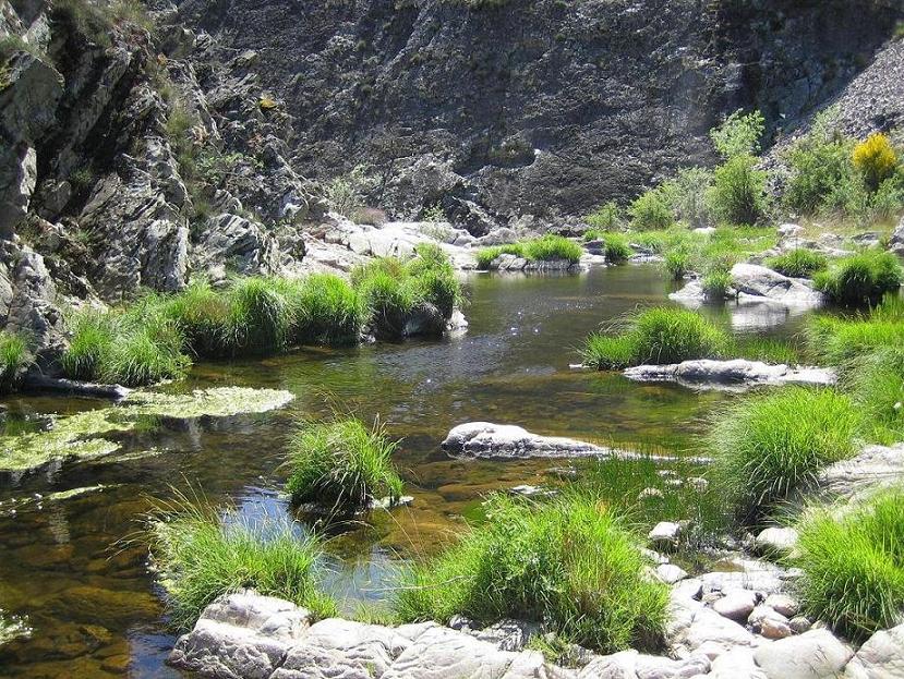 Foto de Navas de Estena (Toledo), España