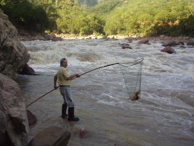 Foto de Gran Chaco Tarija, Bolivia