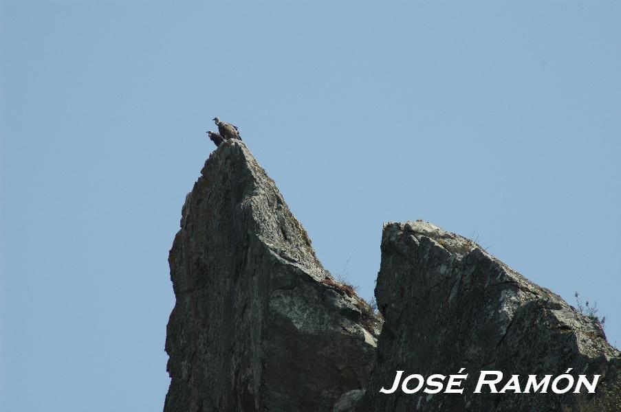 Foto de San José del Valle (Cádiz), España