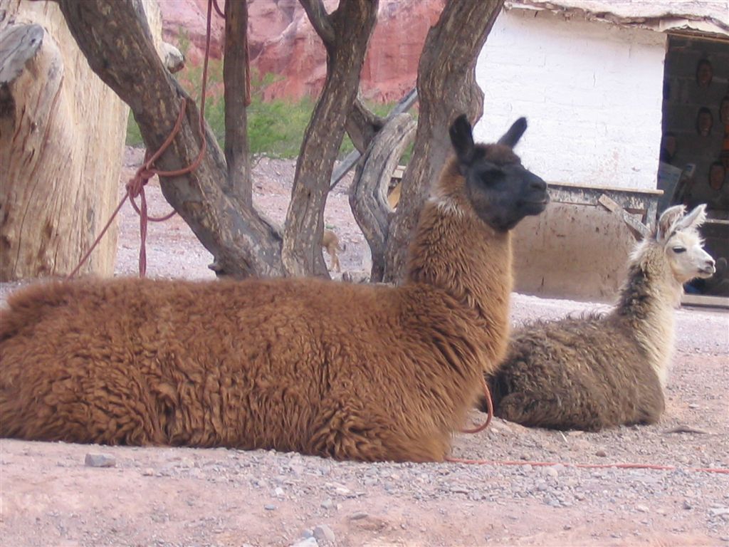 Foto de Jujuy, Argentina