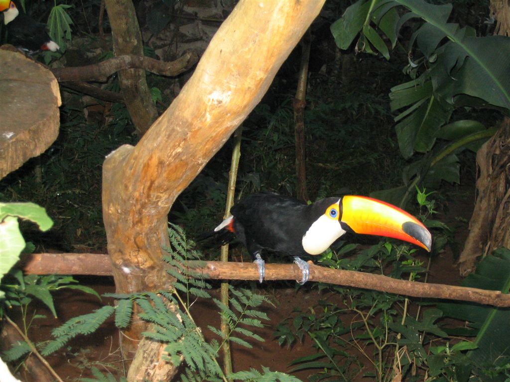 Foto de Misiones, Argentina