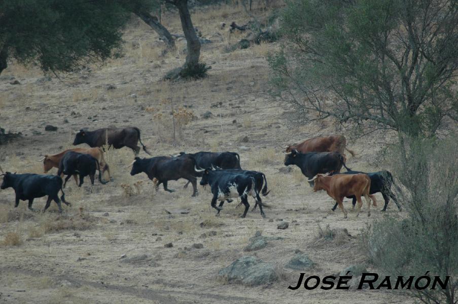 Foto de San José del Valle (Cádiz), España