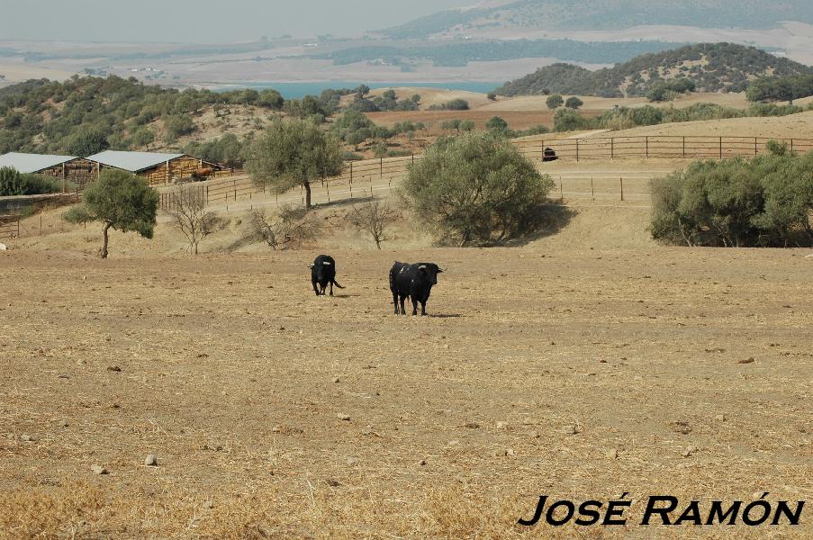Foto de San José del Valle (Cádiz), España