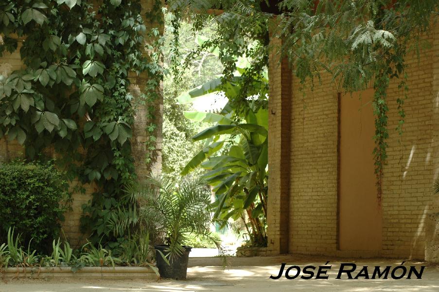 Foto de Jerez  de la Frontera (Cádiz), España