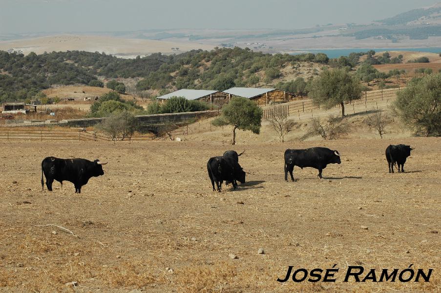 Foto de San José del Valle (Cádiz), España