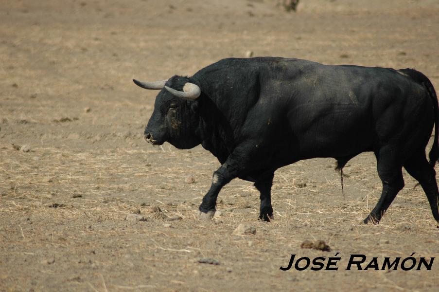 Foto de San José del Valle (Cádiz), España