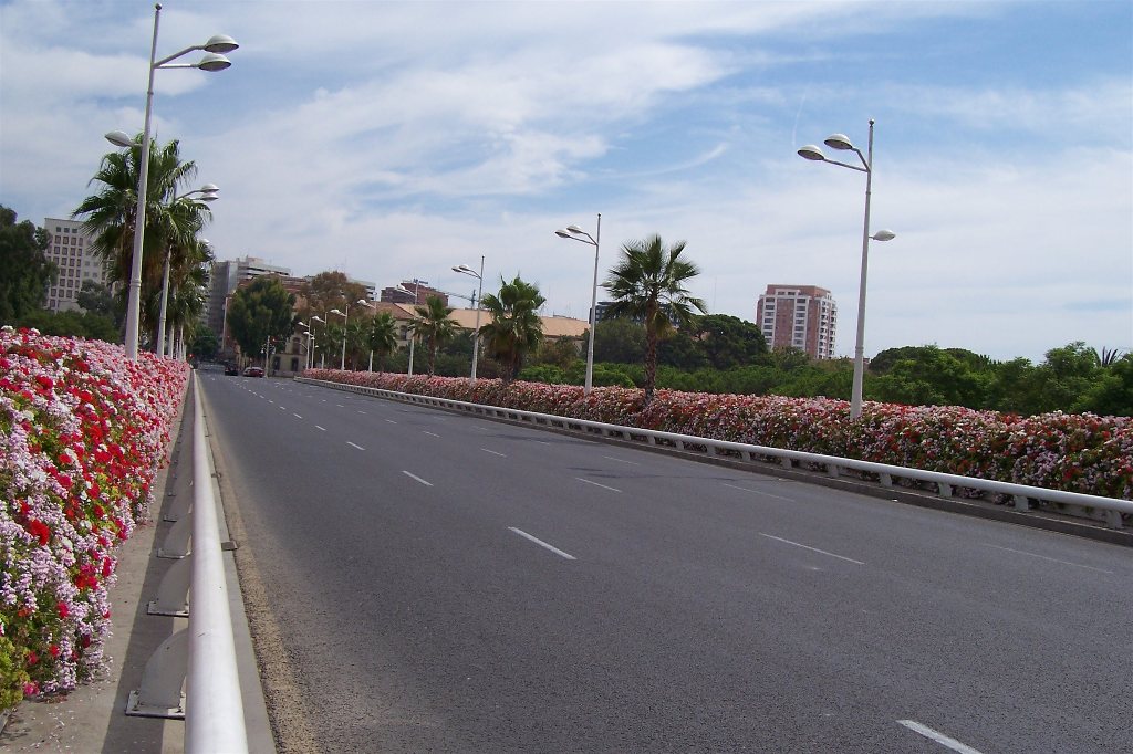 Foto: Puente de las flores - Valencia (València), España