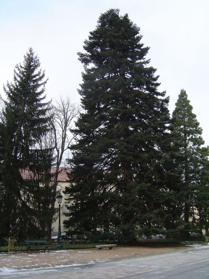 Foto de La Granja (Segovia), España