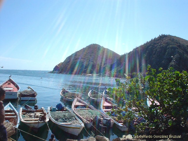 Foto de Playa Valdez Porlamar, Venezuela