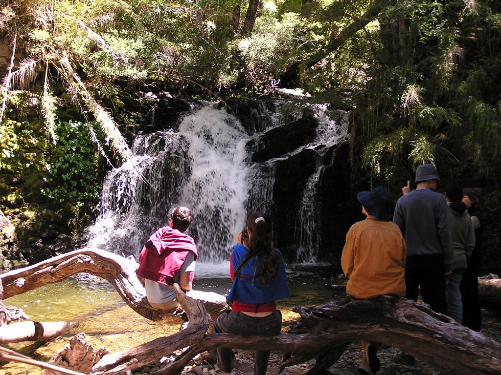 Foto de Lago Quillén, Argentina