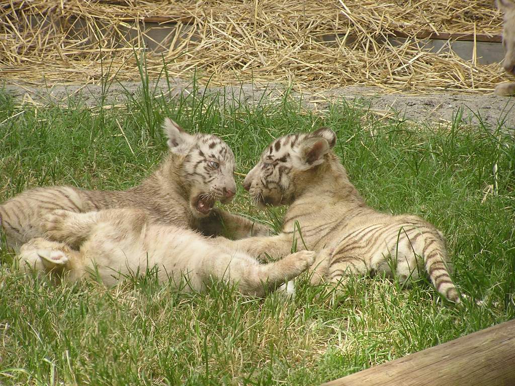 Foto de Buenos Aires, Argentina