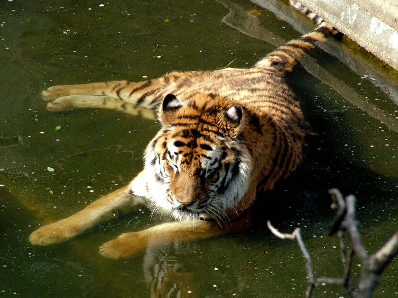 Foto de Madrid (Comunidad de Madrid), España