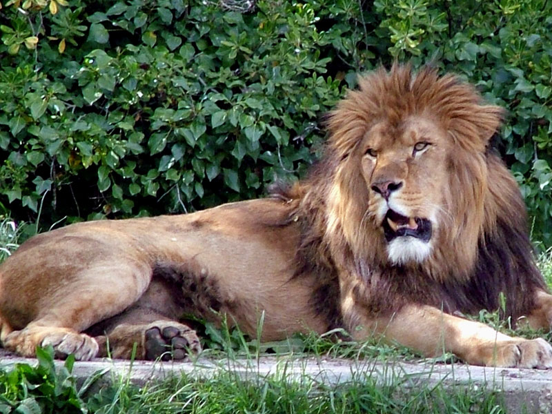 Foto de Madrid (Comunidad de Madrid), España