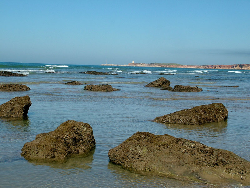 Foto de Conil (Cádiz), España