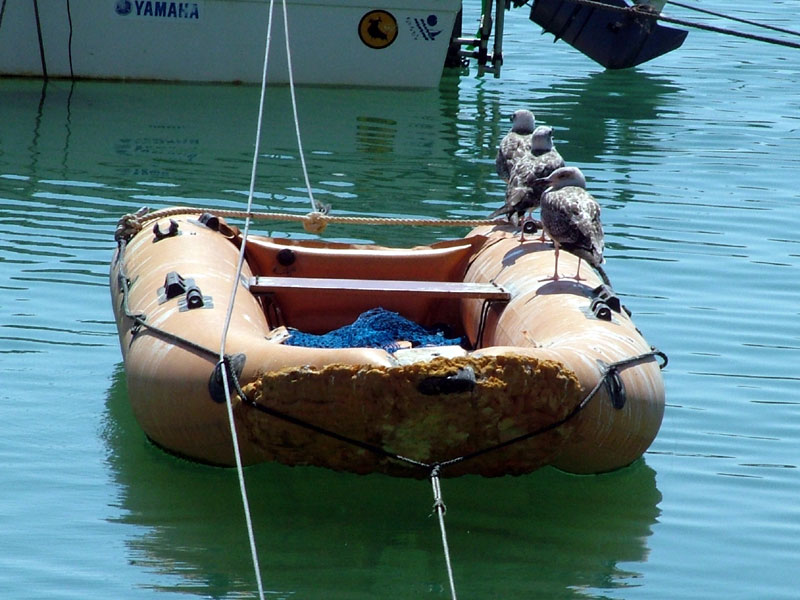 Foto de Conil (Cádiz), España
