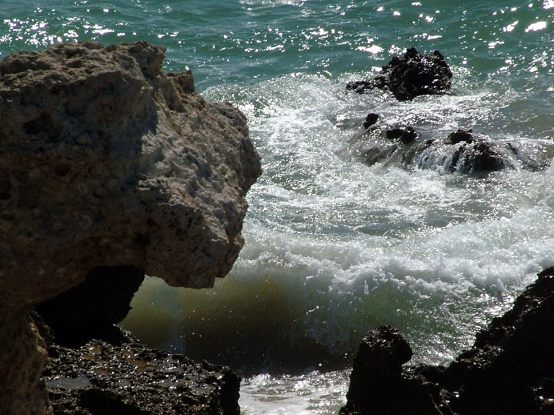 Foto de Conil (Cádiz), España