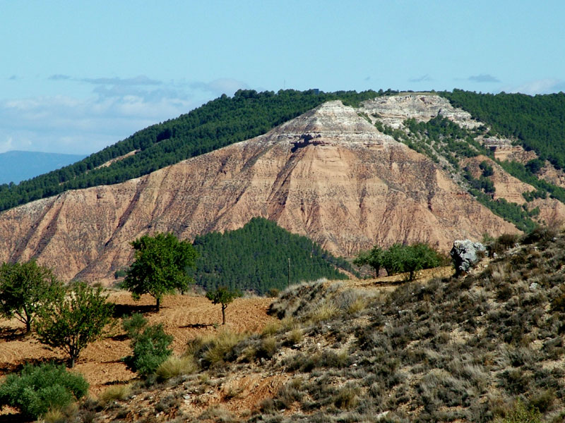 Foto de Guadalajara (Castilla La Mancha), España