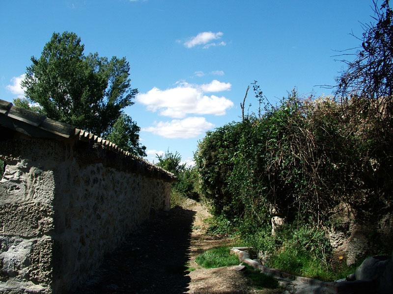 Foto de Valdeavellano (Guadalajara), España