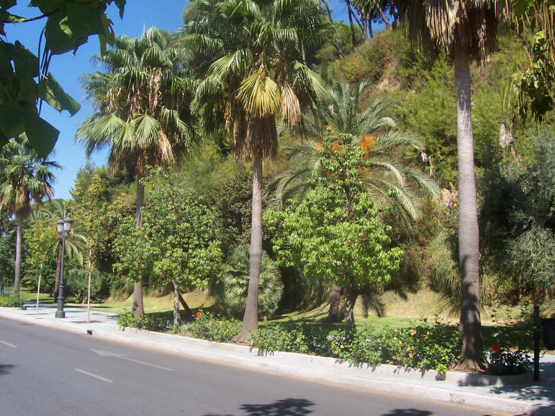 Foto de Marbella (Málaga), España