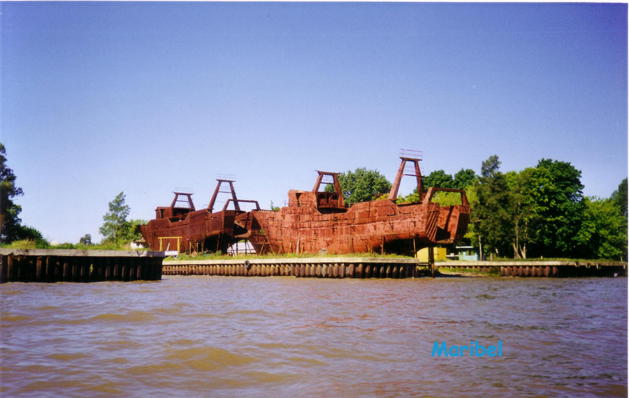 Foto de Tigre, Argentina