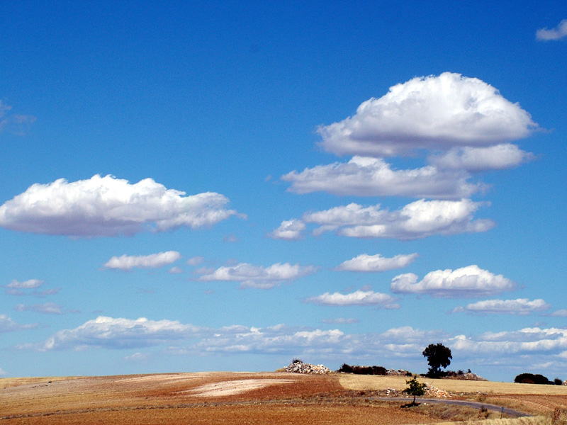 Foto de Valdeavellano (Guadalajara), España