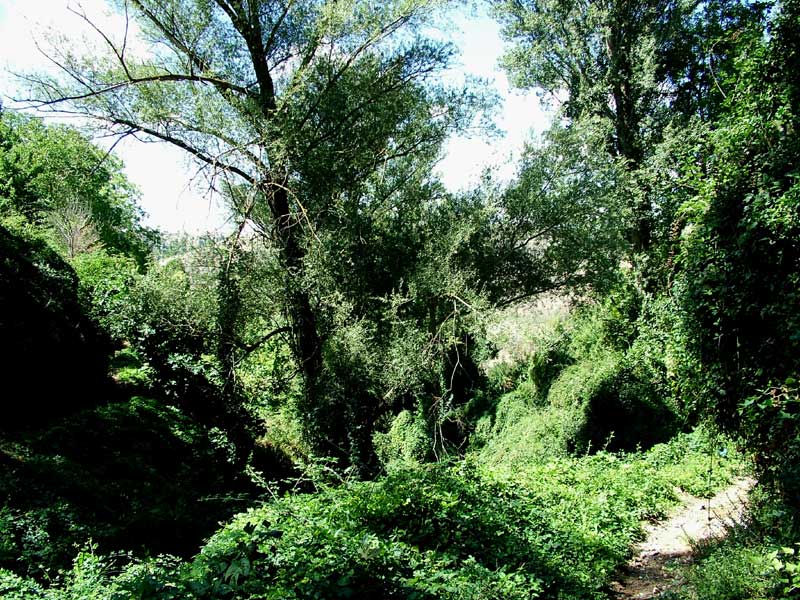 Foto de Valdeavellano (Guadalajara), España