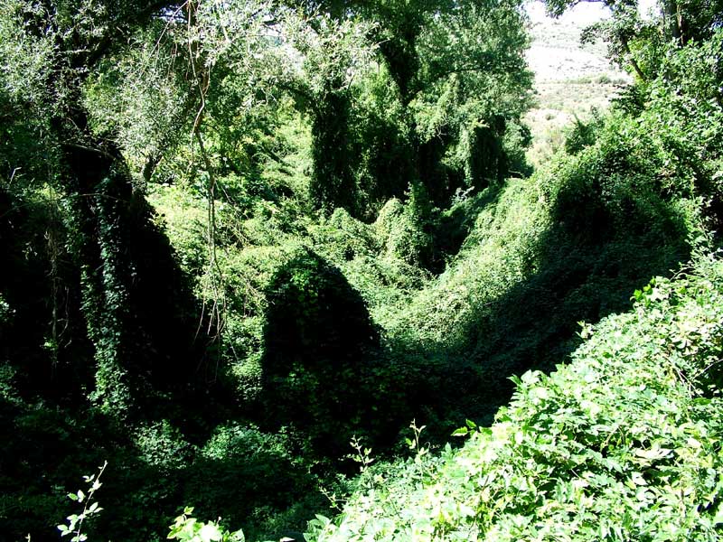 Foto de Valdeavellano (Guadalajara), España