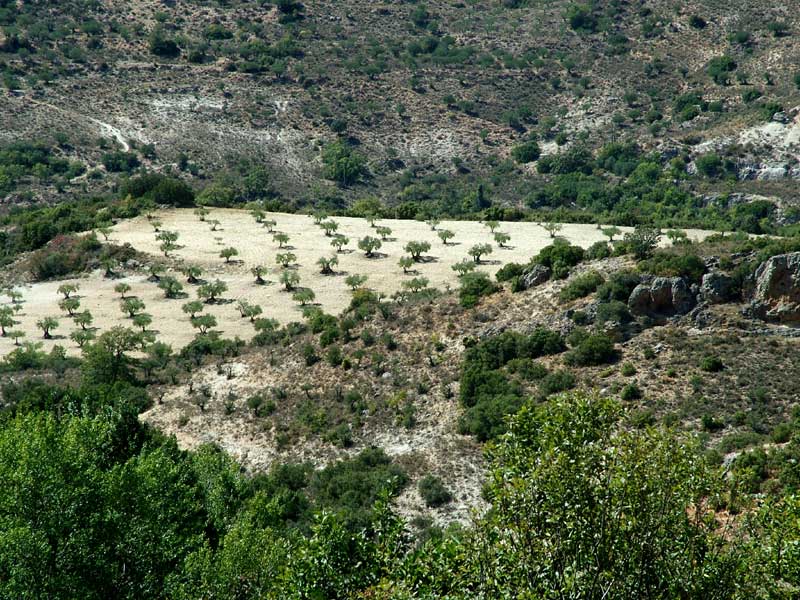 Foto de Valdeavellano (Guadalajara), España