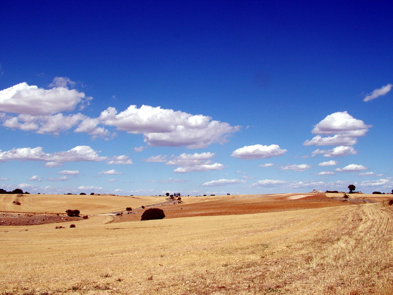 Foto de Valdeavellano (Guadalajara), España