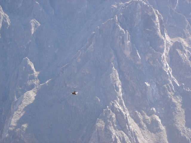 Foto de Cañón del Colca, Perú
