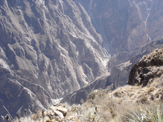 Foto de Cañón del Colca, Perú