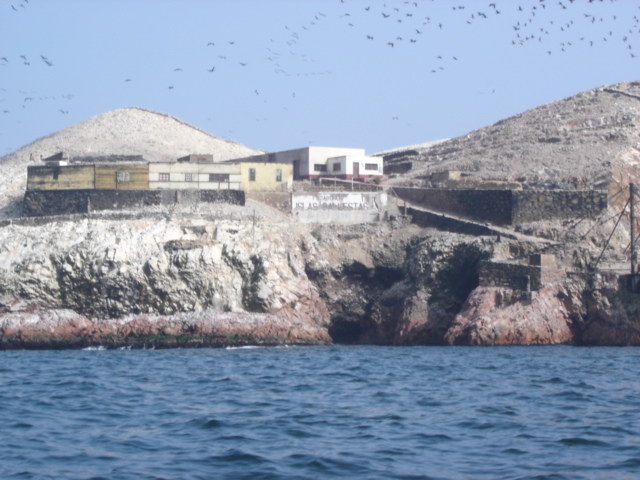 Foto de Islas Ballestas, Perú