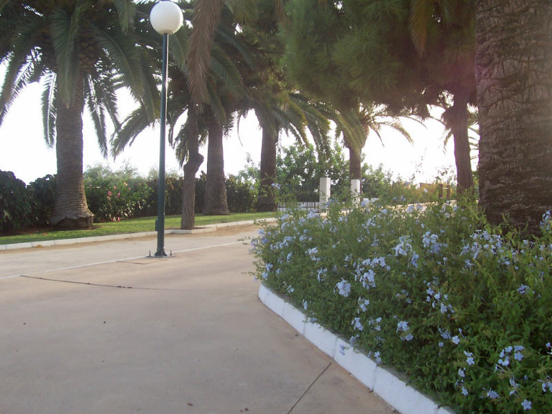 Foto de Marbella (Málaga), España