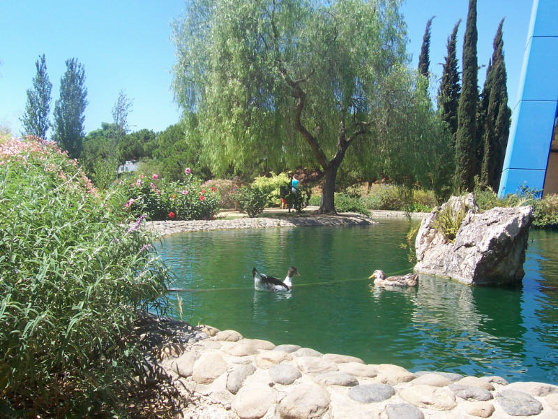 Foto de Marbella (Málaga), España