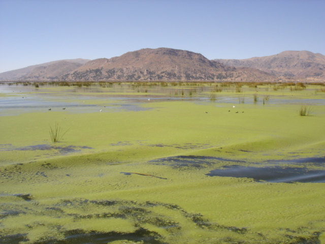 Foto de Lago Titicaca, Perú