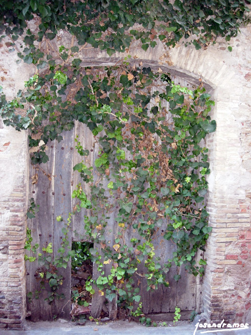 Foto de Llançà (Girona), España