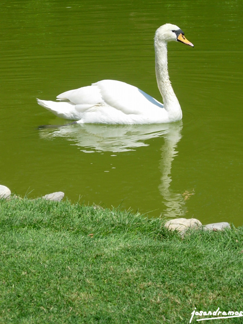 Foto de Peralada (Girona), España