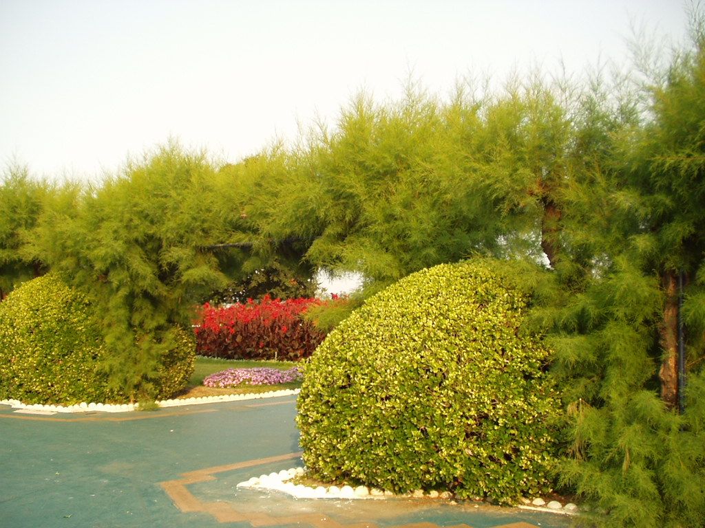 Foto de Santander (Cantabria), España