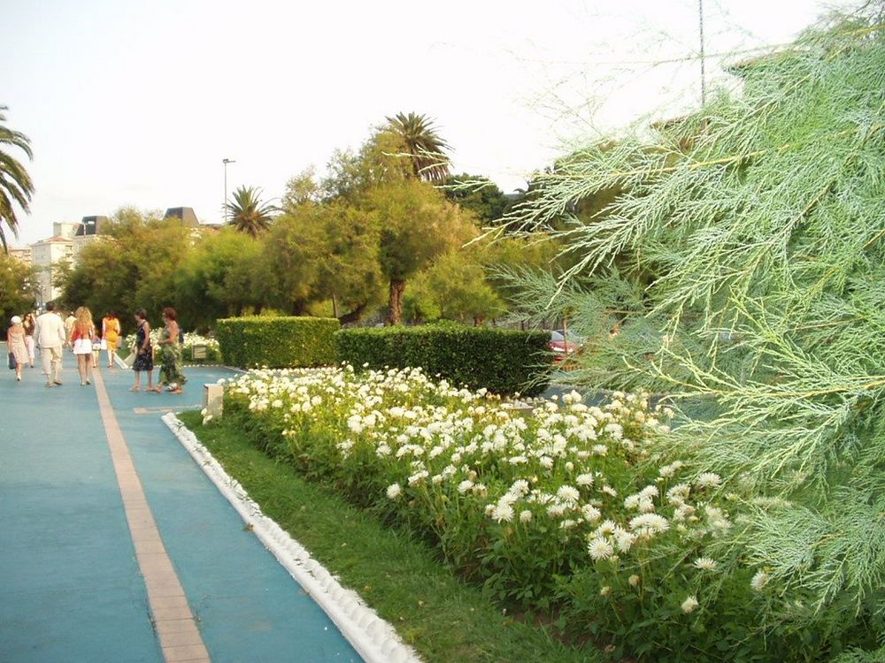 Foto de Santander (Cantabria), España