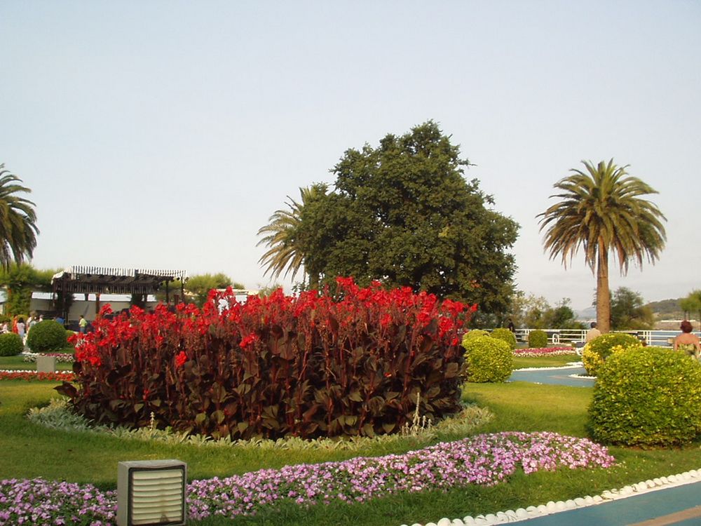 Foto de Santander (Cantabria), España