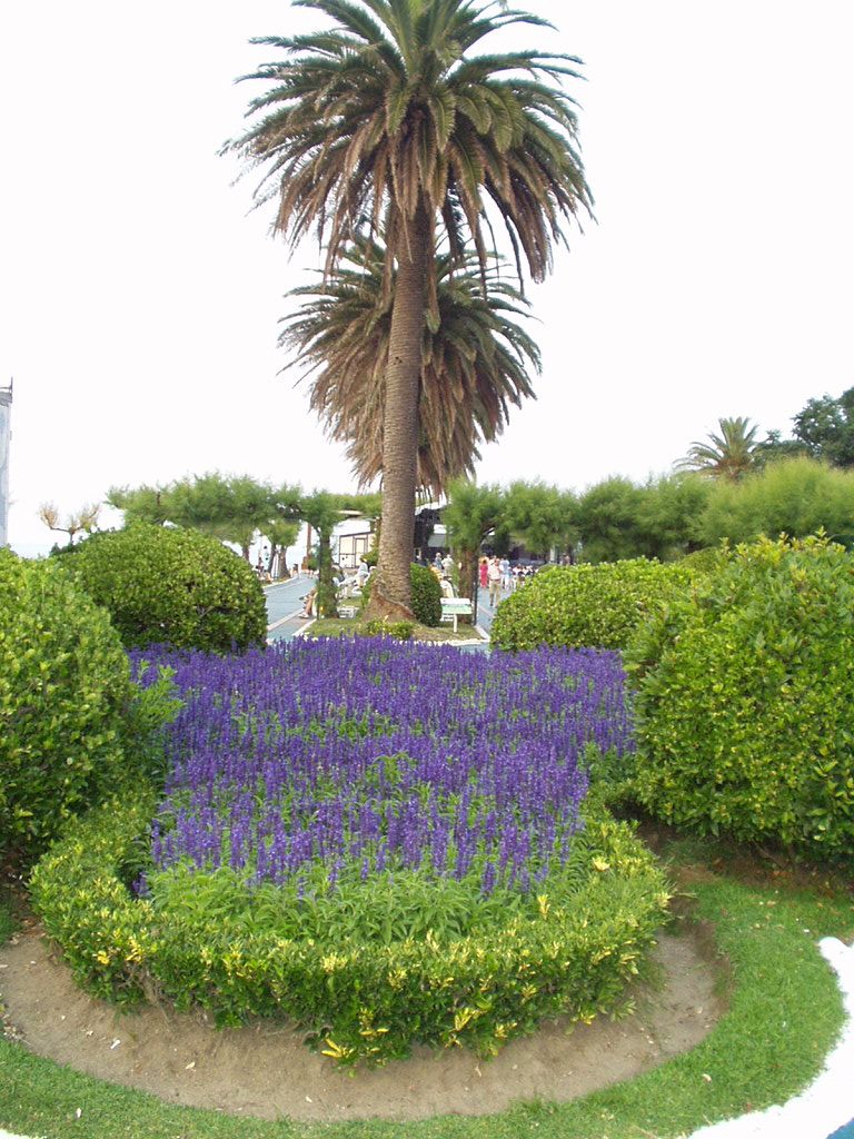 Foto de Santander (Cantabria), España