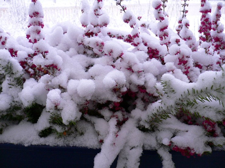 Foto de Rajamaki, Finlandia