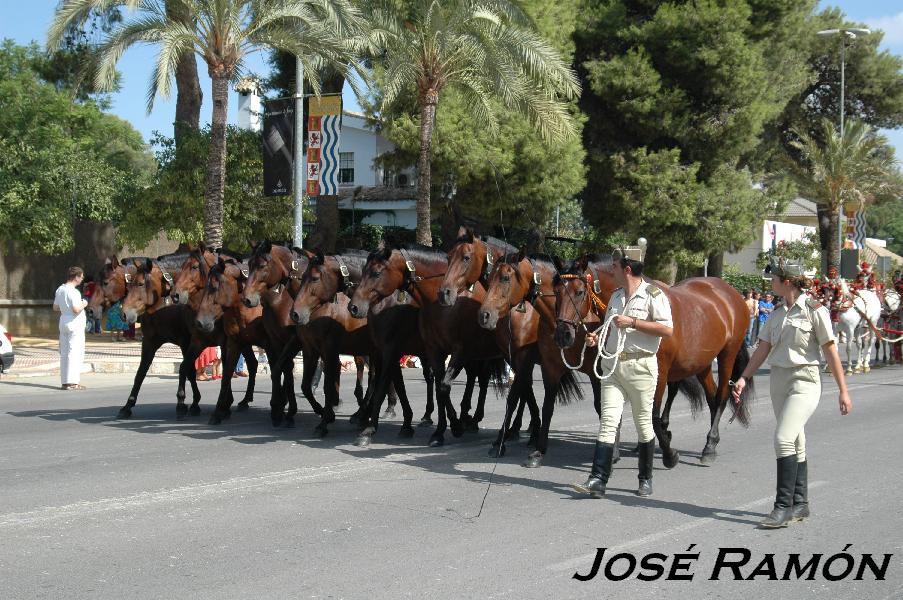 Foto de Jerez  de la Frontera (Cádiz), España