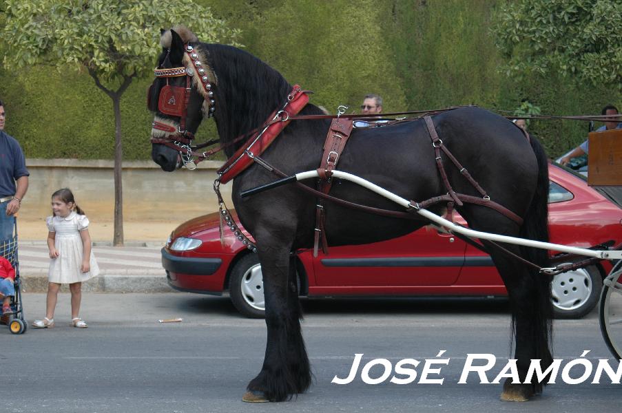 Foto de Jerez  de la Frontera (Cádiz), España