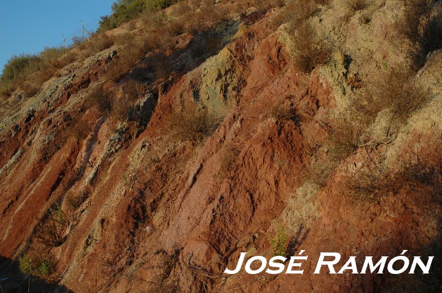 Foto de Jerez  de la Frontera (Cádiz), España