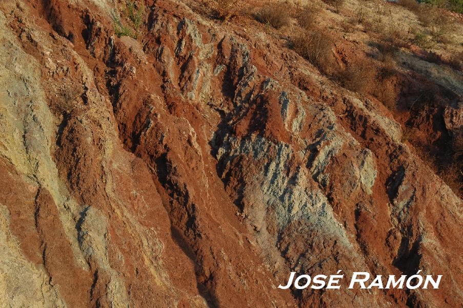 Foto de Jerez  de la Frontera (Cádiz), España