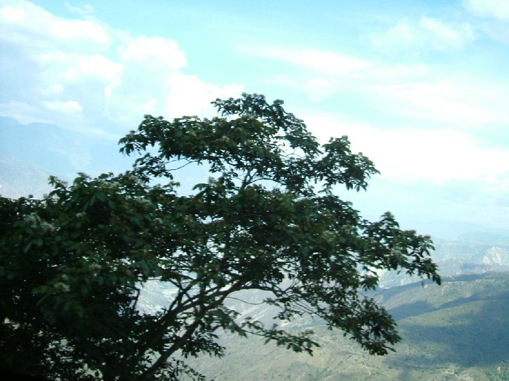 Foto de Santander, Colombia