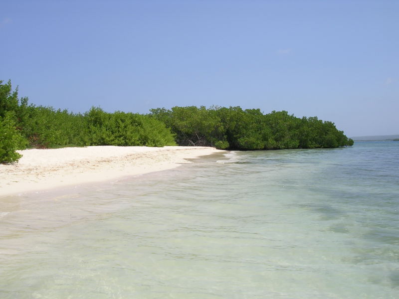 Foto de Morrocoy, Venezuela