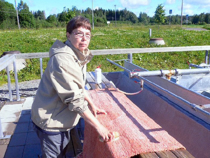 Foto de Rajamaki, Finlandia